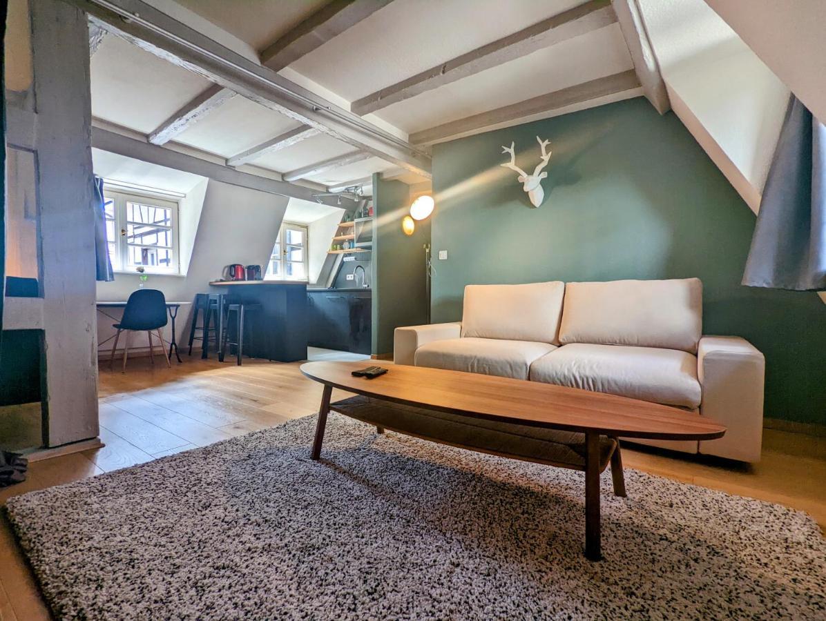 Citycosy Strasbourg - Authentique Batelier Kültér fotó