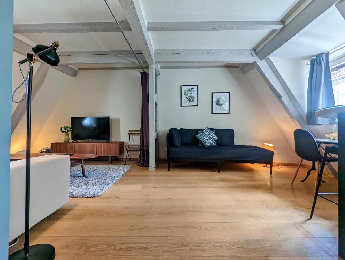 Citycosy Strasbourg - Authentique Batelier Kültér fotó