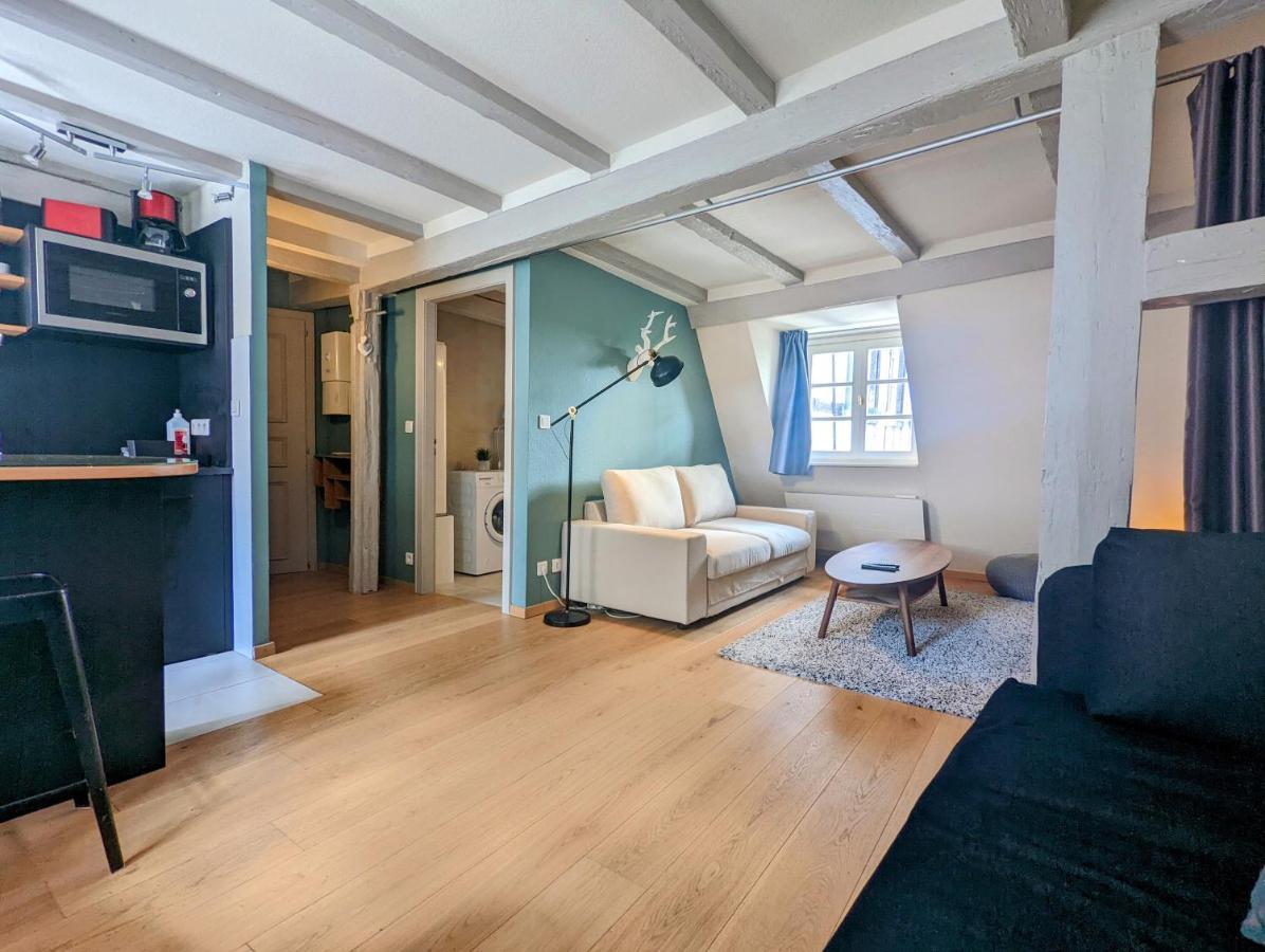 Citycosy Strasbourg - Authentique Batelier Kültér fotó