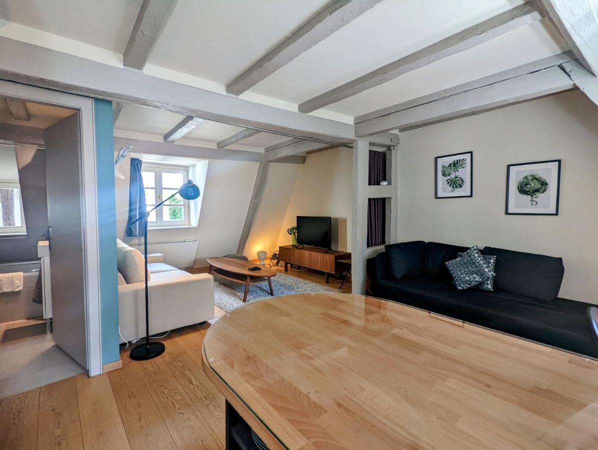 Citycosy Strasbourg - Authentique Batelier Kültér fotó
