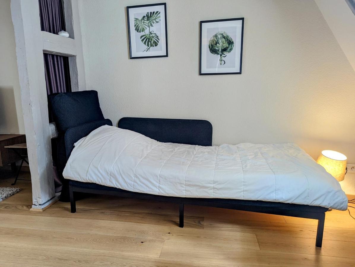 Citycosy Strasbourg - Authentique Batelier Kültér fotó