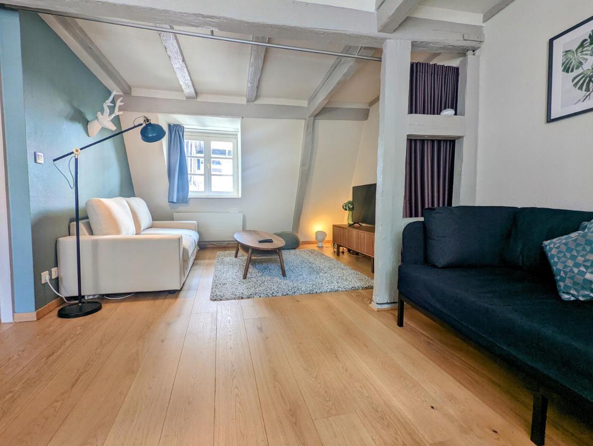 Citycosy Strasbourg - Authentique Batelier Kültér fotó