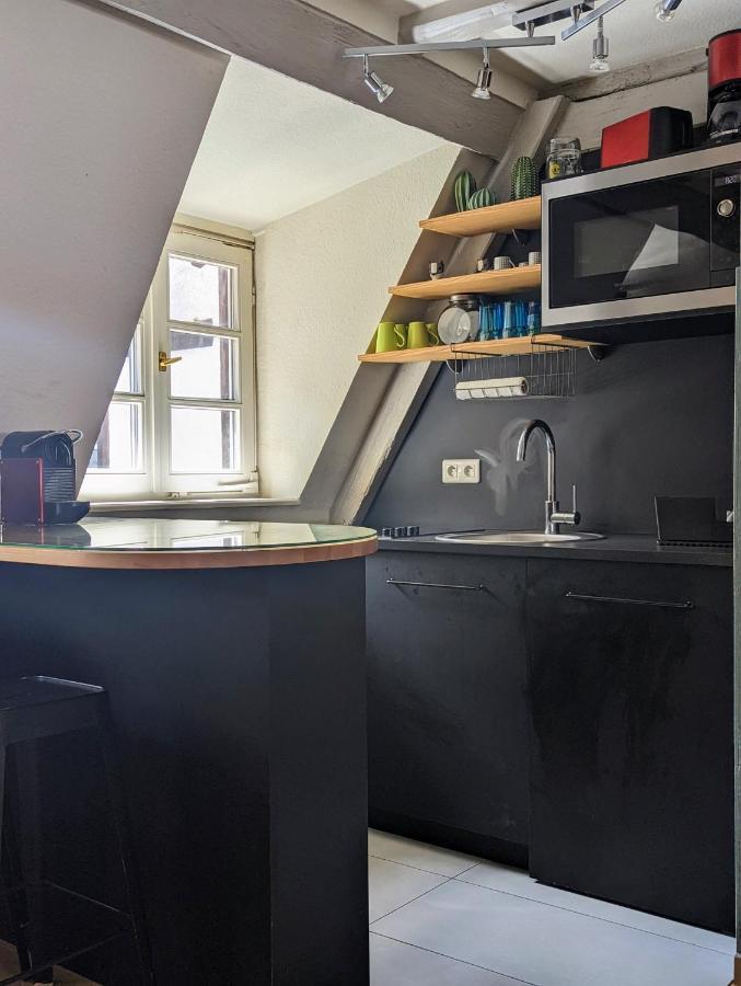 Citycosy Strasbourg - Authentique Batelier Kültér fotó