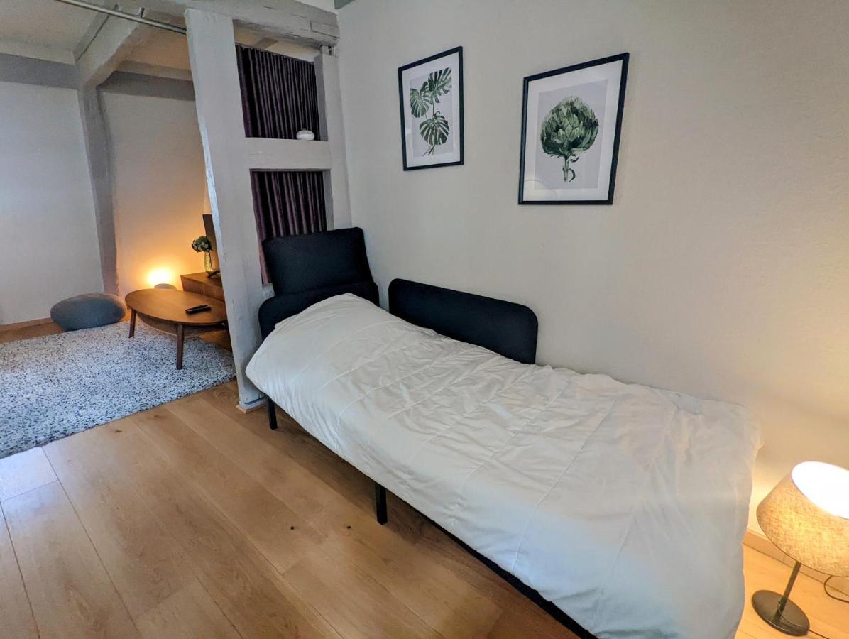 Citycosy Strasbourg - Authentique Batelier Kültér fotó