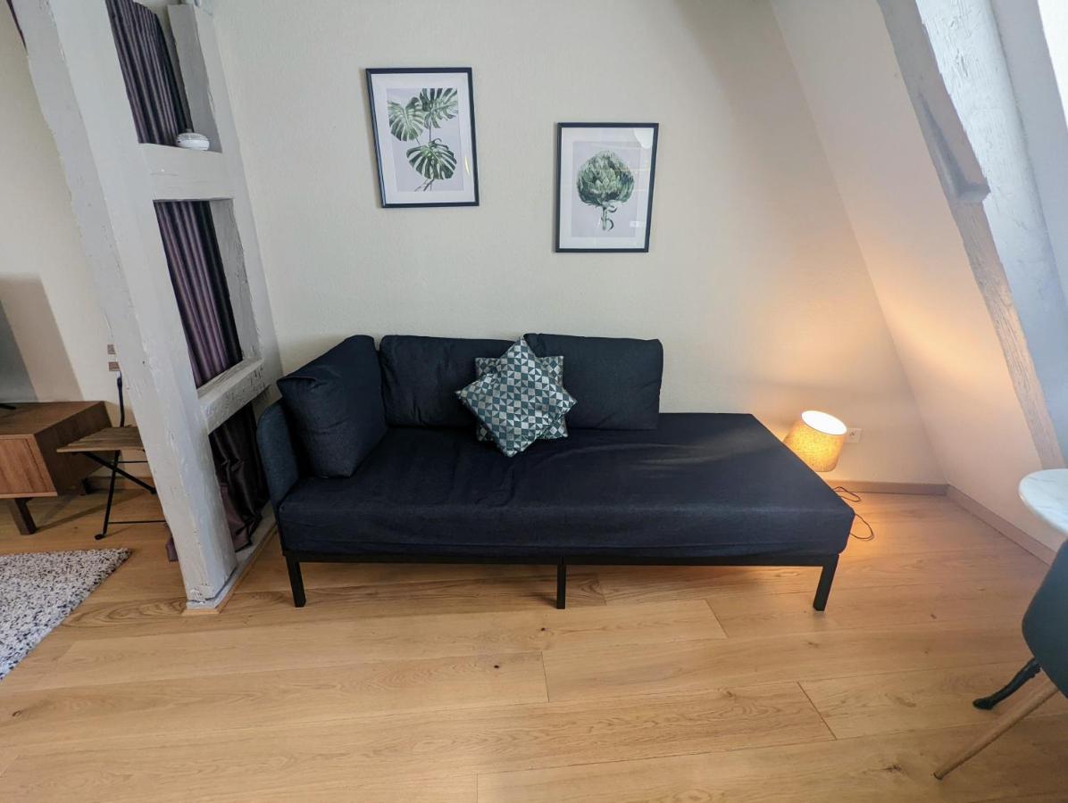 Citycosy Strasbourg - Authentique Batelier Kültér fotó