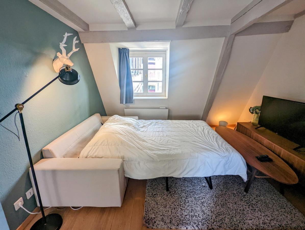 Citycosy Strasbourg - Authentique Batelier Kültér fotó
